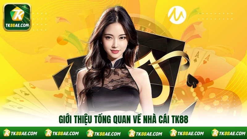Giới thiệu tổng quan về nhà cái TK88 Giới thiệu tổng quan về nhà cái TK88